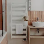 Palmito Biarritz