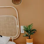 Hotel Palmito 3*