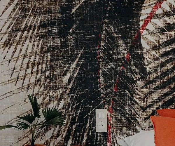 Palmito ביאריץ