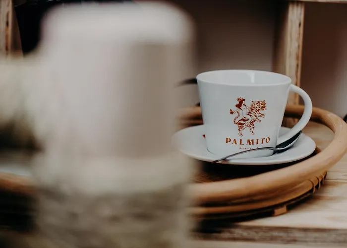 Palmito Ξενοδοχείο 3*